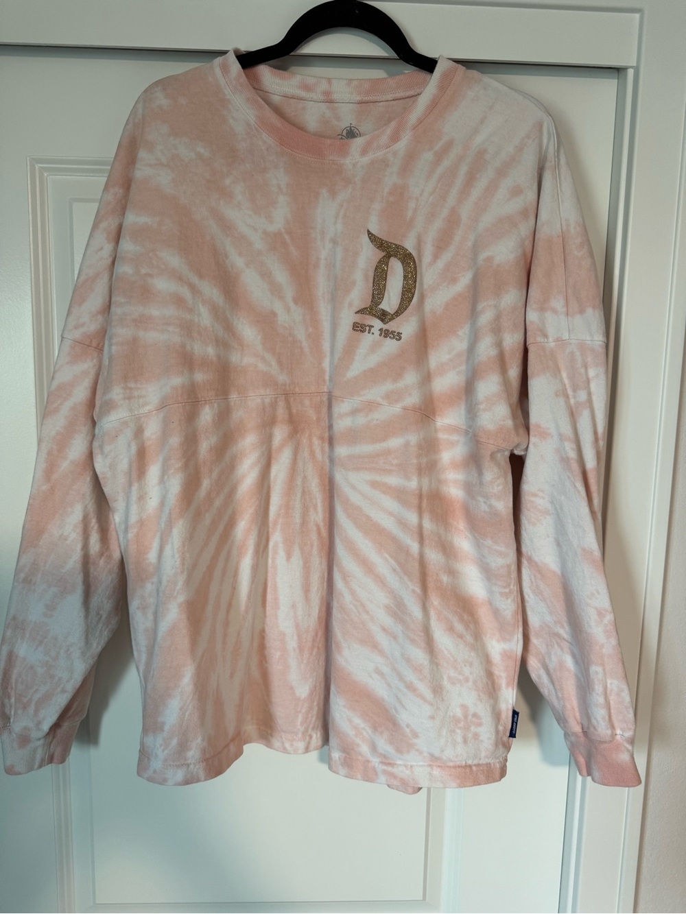 Disney Disneyland Spirit Jersey